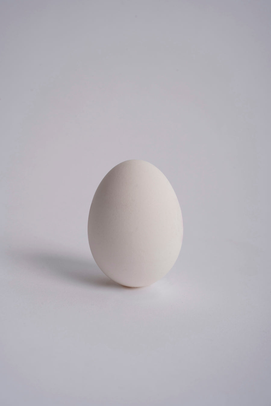 2 white eggs on white surface