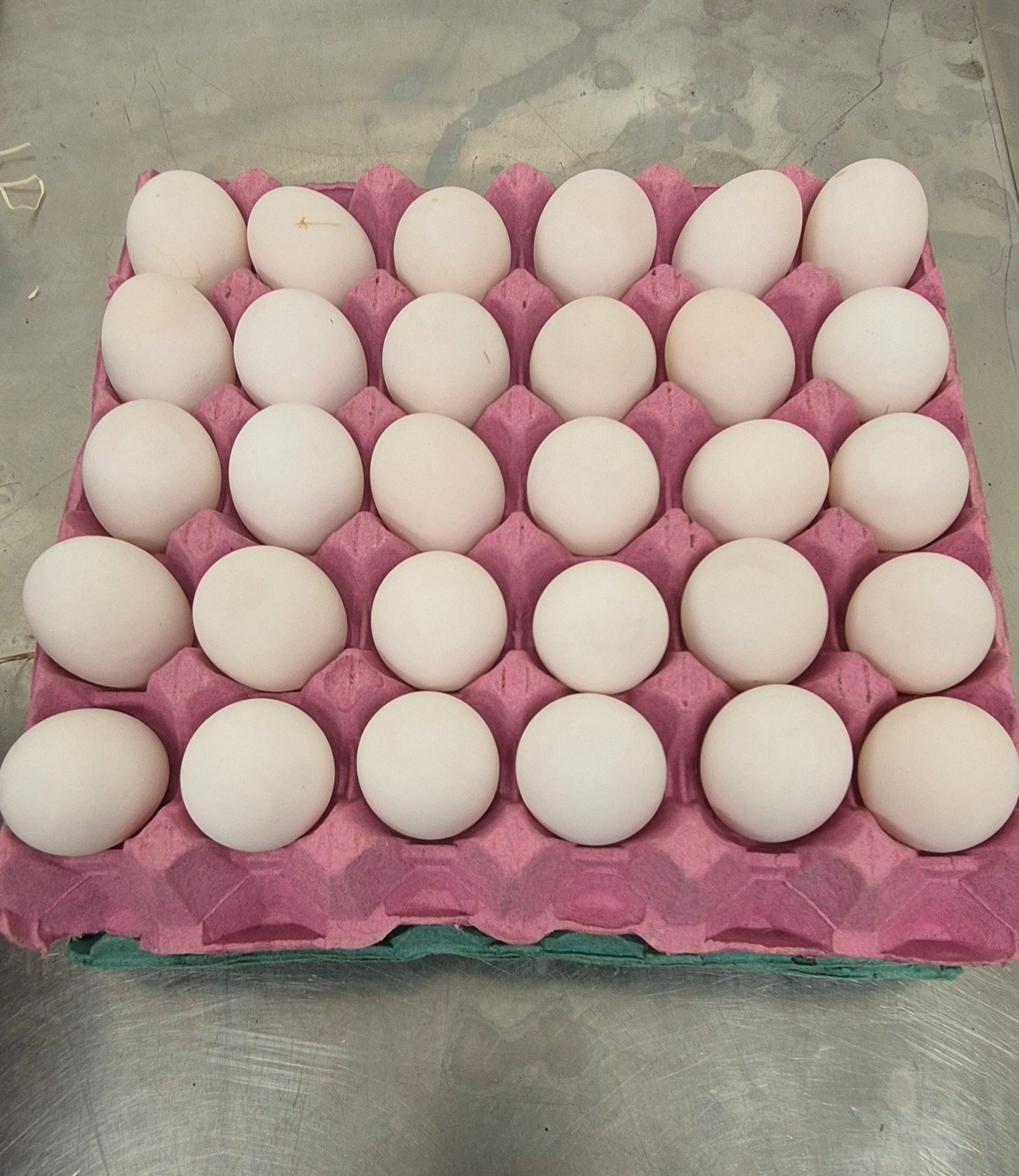 Duck Eggs – Tray of 30 Pullet eggs (smalls)