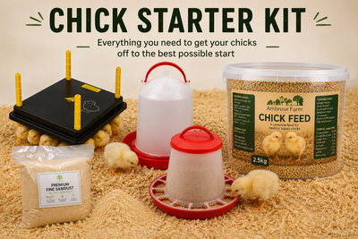Ambrose Farm Chick Starter Kit – Heat Plate, Feeder, Drinker, Feed & Bedding