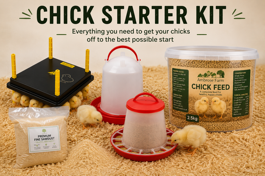 Ambrose Farm Chick Starter Kit – Heat Plate, Feeder, Drinker, Feed & Bedding