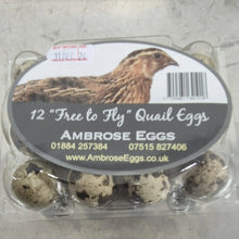 Egg Delivery