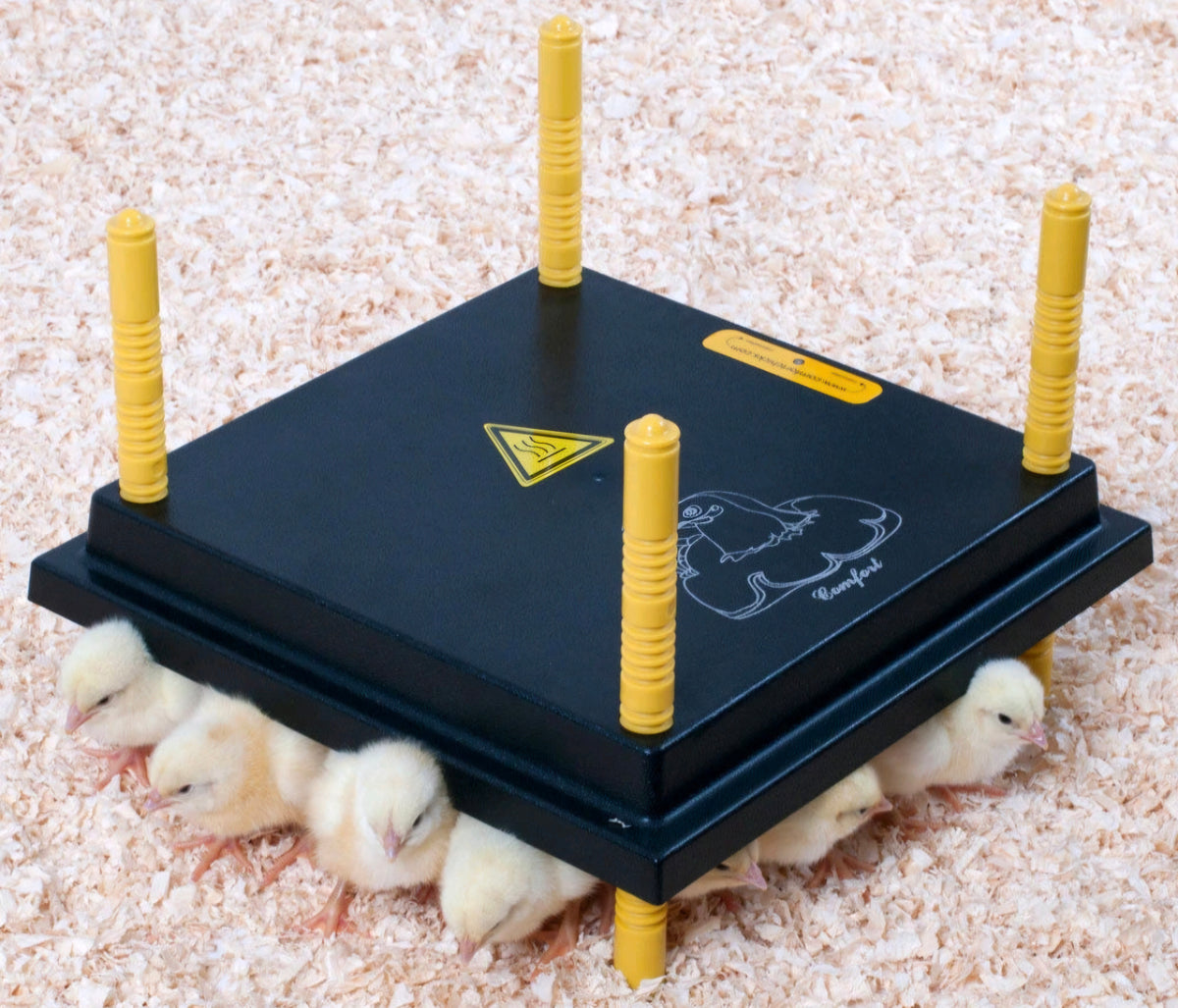 Poultry Equipment
