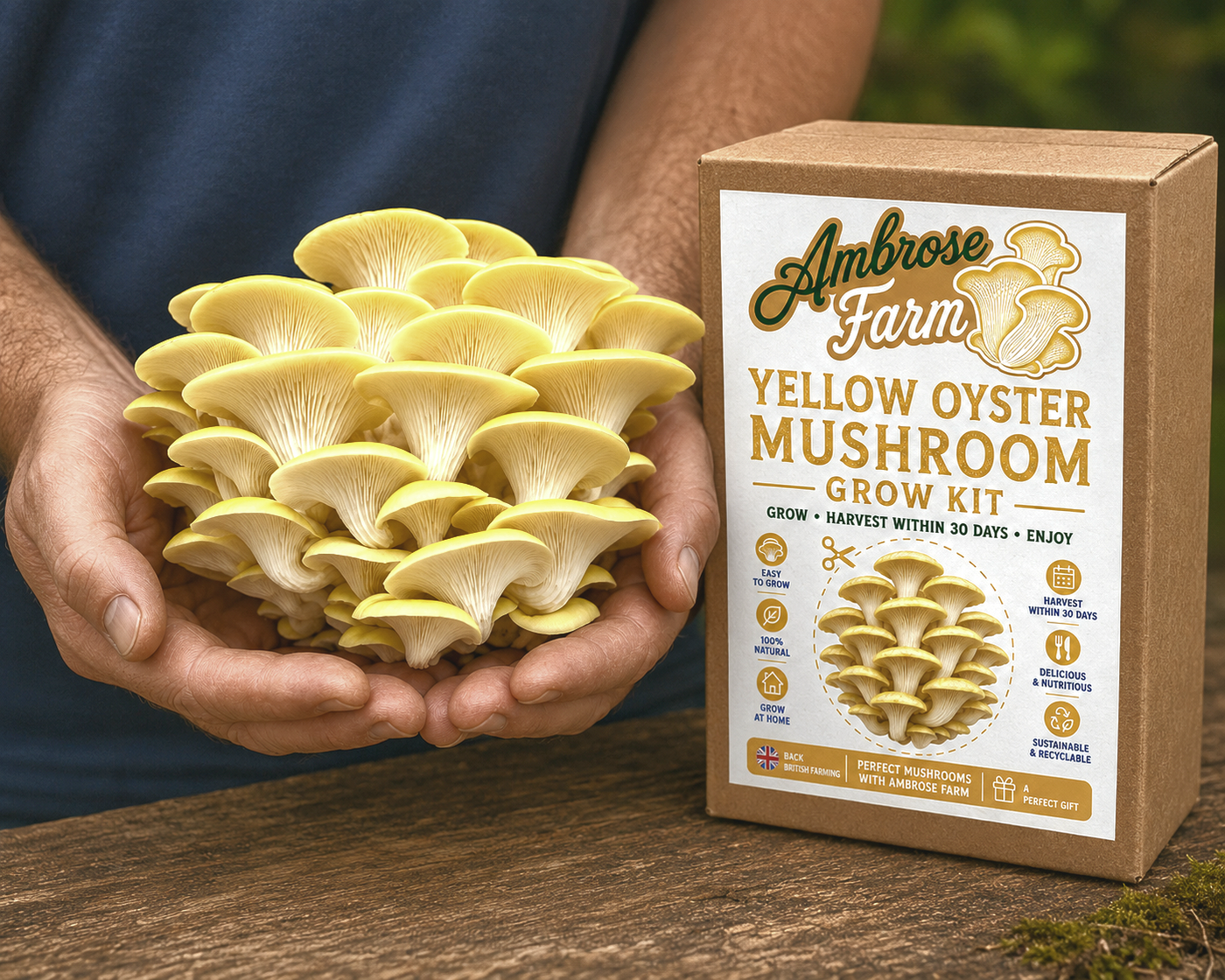Mushroom Grow Kit Gift – Grow Your Own Blue, Pink & Yellow Oyster Mushrooms