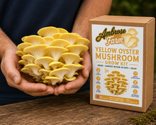 Grow your own Mushrooms Kit | Learn the joy to grow | Birthday Presents