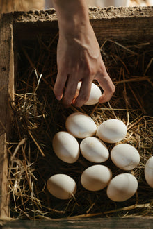 Devonshire Duck eggs - Tray of 20