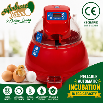 Covatutto 16 egg Digital Pro Egg Incubator - perfect for our hatching eggs