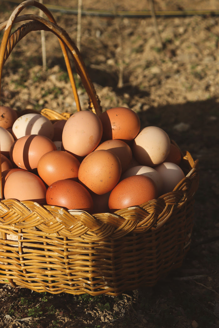 Free range chicken eggs - 1 tray of 30