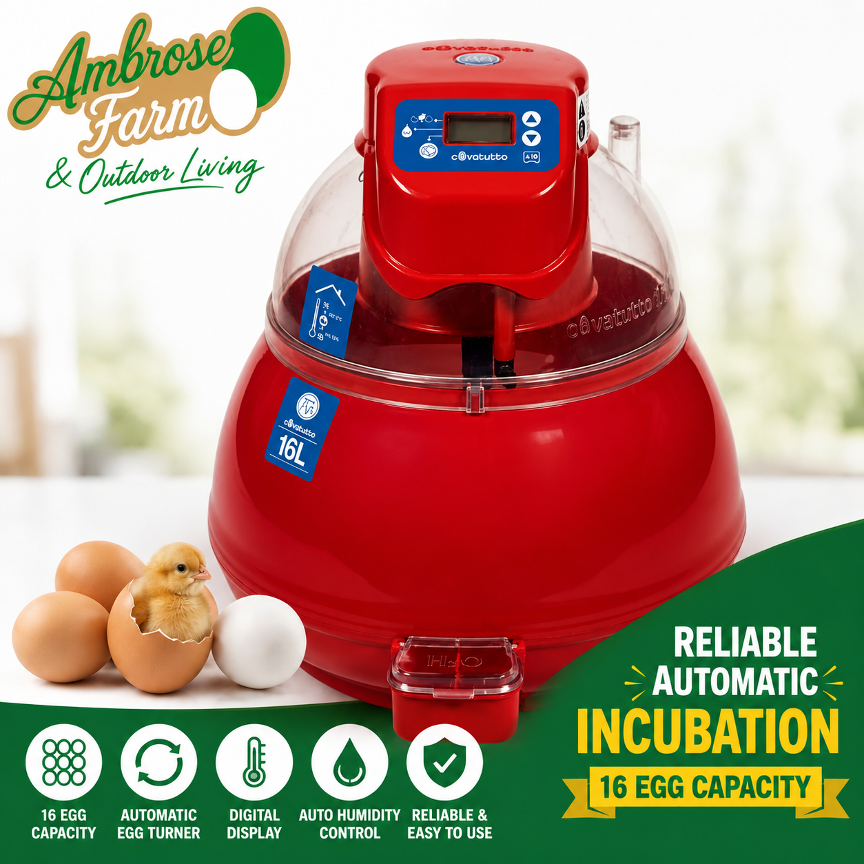 Covatutto 16 egg Digital Pro Egg Incubator - perfect for our hatching eggs