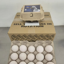 Devonshire Duck eggs - Tray of 20