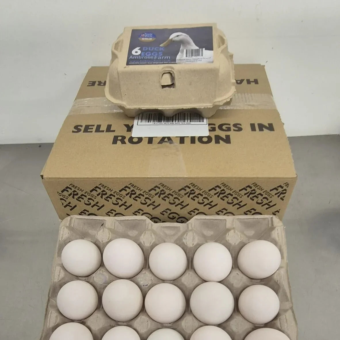 Ambrose Eggs